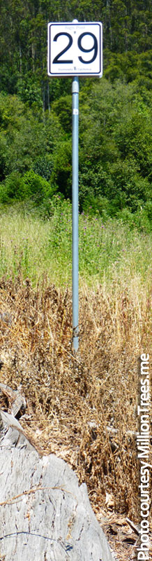 Signpost-29-mile-marker-NARROW-800p-WEB