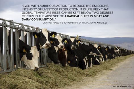 Chatham-House-meat-emissions-quote-Dec-2014