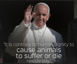 Pope-Francis-contrary-to-human-dignity-to-cause-animals-to-suffer-or-die-needlessly.jpg