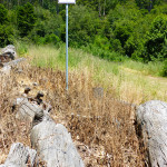 Signpost-29-mile-marker-brush-1000p-WEB