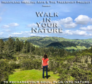 Walk-In-Your-Nature-TreeSpirit-Project-SKY-POSTER-2-v1-750p-WEB.jpg