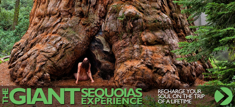 Giant-Sequoias-Experience-SLIDER-woman-NO-DATE-WEB.jpg