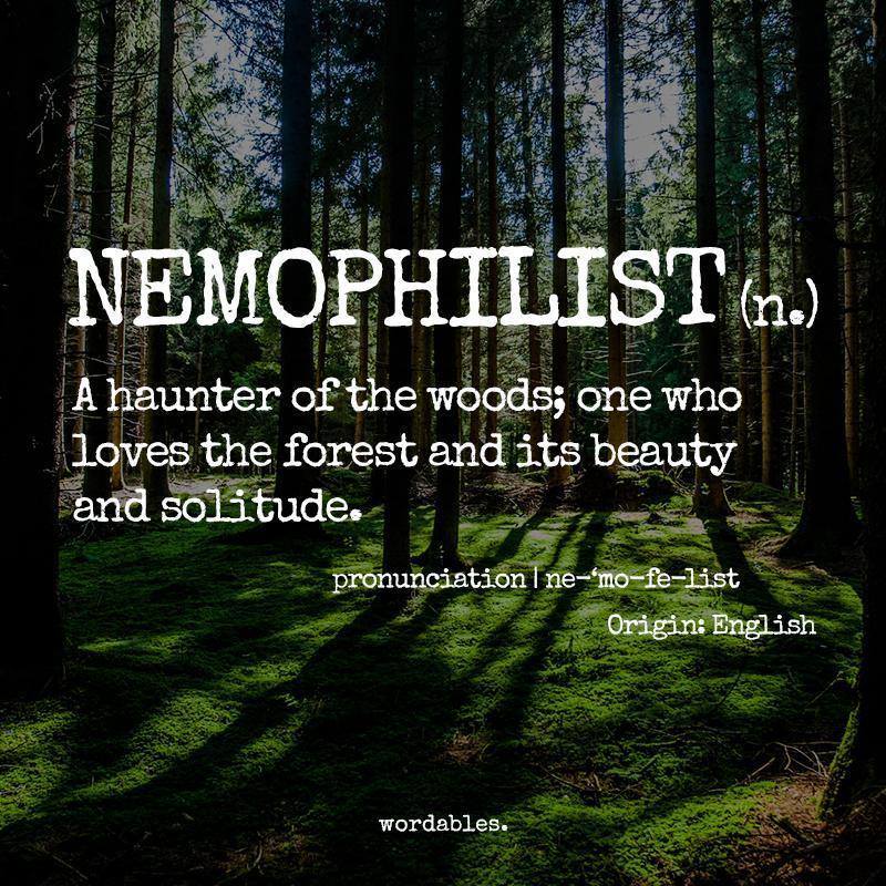 Nemophilist-word-defintion