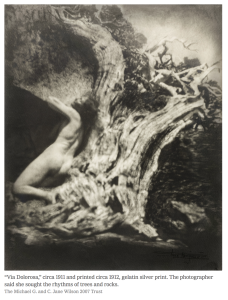 Anne-Brigman-Soul-of-the-Blasted-Pine-1906-New-York-Times-Rebecca-Kleinman.jpg