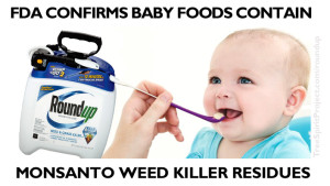 fda-confirms-baby-foods-contain-monsanto-weed-killer-residues-baby-tsp-com.jpg