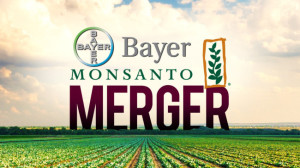 monsanto-bayer-merger