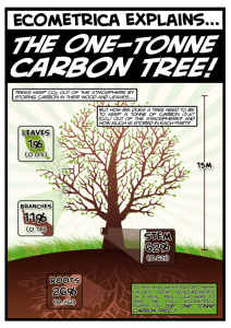 1-tonne-SEQUESTERS-carbon-tree-graphic.png