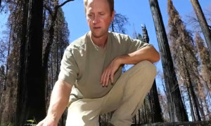 Chad-Hanson-PhD-fire-ecologist-John-Muir-Project.jpg