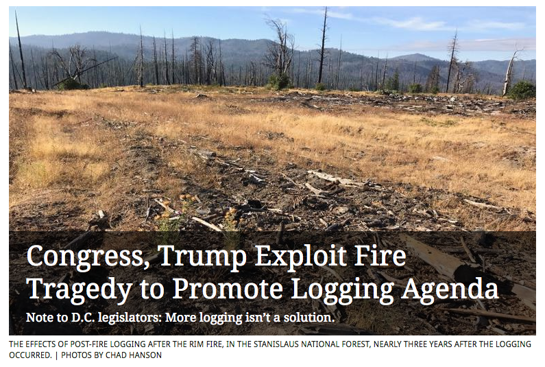 Congress-Trump-Exploit-Fire-Tragedy-to-Promote-Logging-Agenda-Chad-Hanson-Sierra-Magazine.png