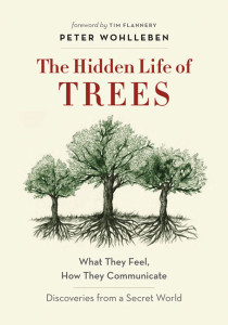 the hidden life of trees paperback