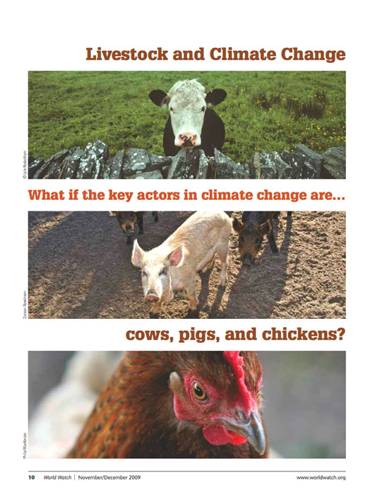 Livestock-and-Climate-Change-WORLDWATCH-Dec-2009-REPORT-cover-700p-WEB