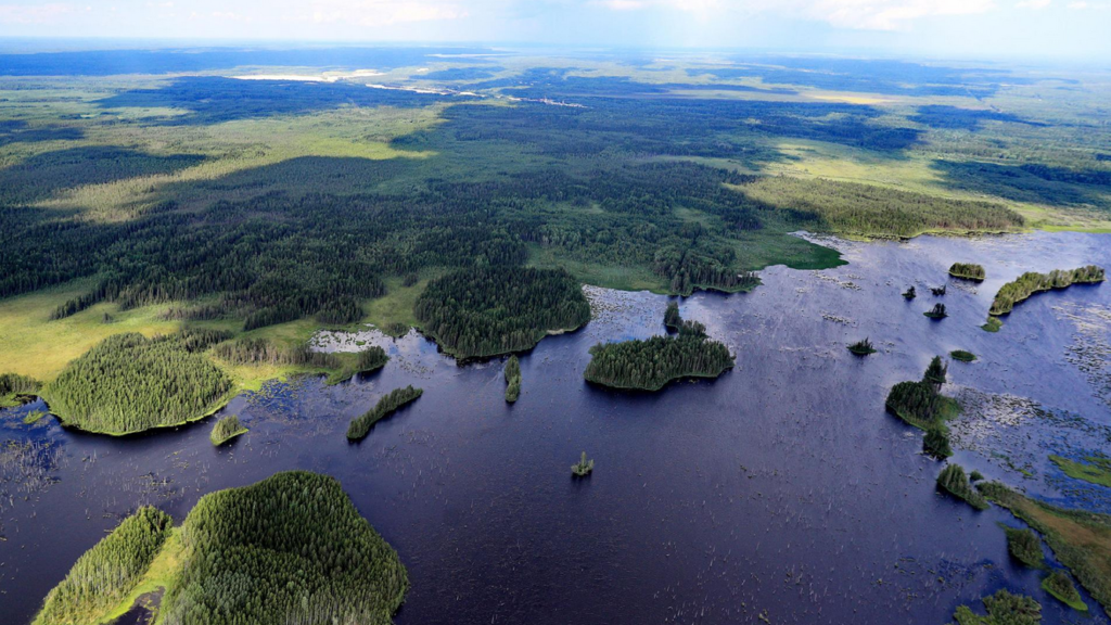 National-Geographic-100-years-carbon-emissions-plant-trees