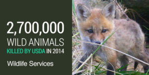 USDA-Wildlife-Services-killed-2.7-million-wild-animals-2014-font-WEB.jpg