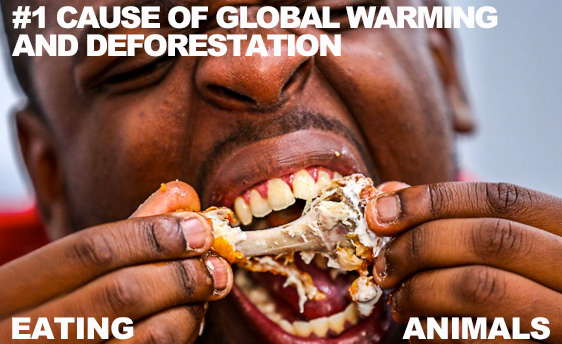 eating-animal-flesh-#1-cause-global-deforestaton-warming-WEB.jpg