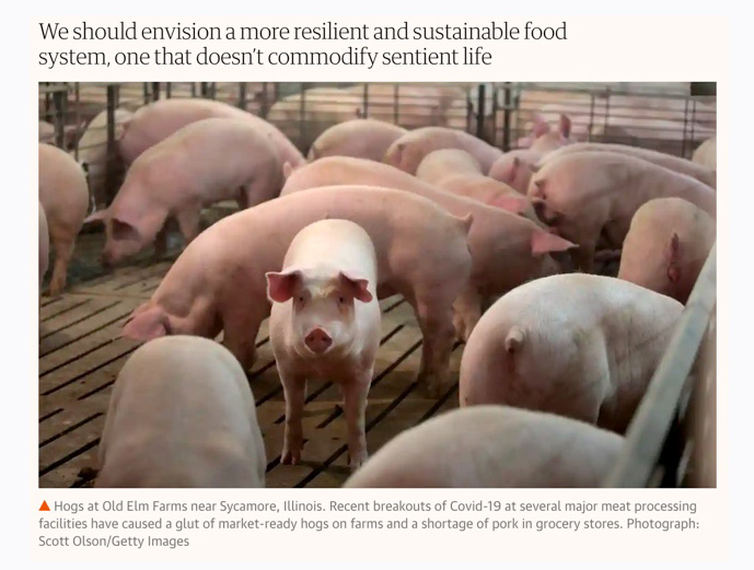 Gene-Baur-The-Guardian-Time-to-dismantle-factory-farms-get-used-to-eating-less-meat-May-19-2020.jpg