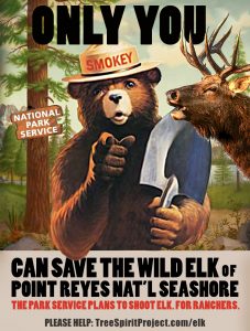 ONLY-YOU-CAN-SAVE-ELI-vintage-Smokey-Bear-poster-PRNS-ELK-v6-w-TSP.jpg