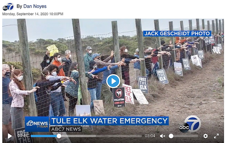 ABC-7-TV-News-Point-Reyes-National-Seashore-Tule-Elk-Water-Activists-Emergency-Dan-Noyes-Sept-14-2020.jpg