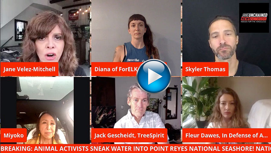 Jane-Unchained-VIDEO-INTERVIEW-5-add-MIYOKO-activists-Point-Reyes-elk-9.8.20.jpg