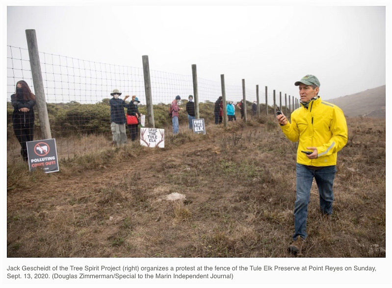 Jack-Gescheidt-of-TreeSpirit-Project-at-Point-Reyes-National-Seashore-Tule-Elk-Reserve-fenceline-photo-Doug-Zimmerman-Marin-IJ-Will-Houston