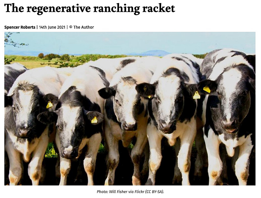 Regenerative-Ranching-Racket-Spencer-Roberts-The-Ecologist-June-14-2021-900p.jpg