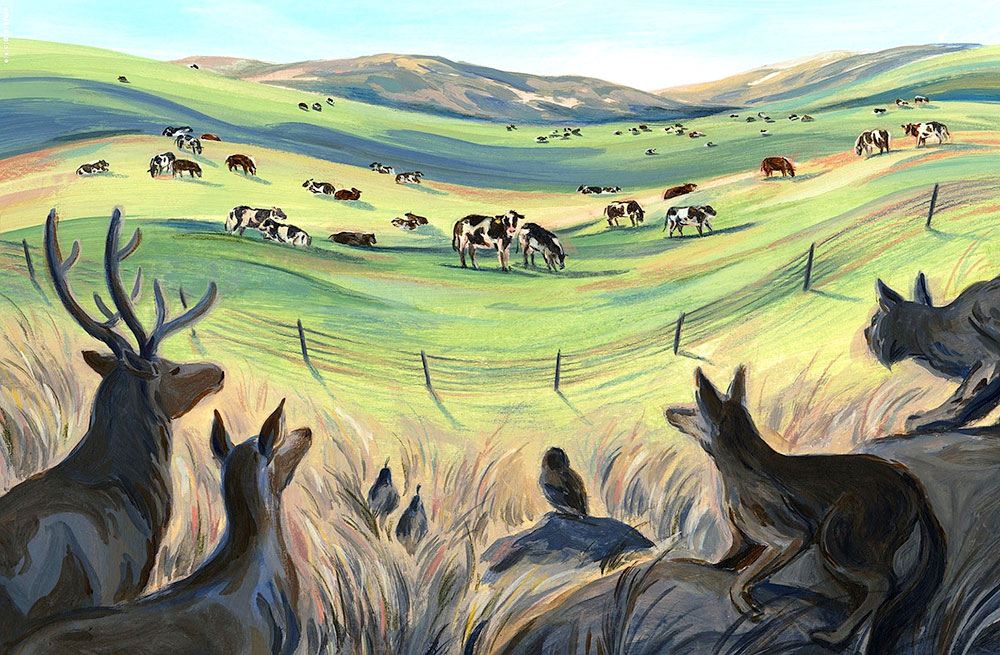 Myth-of-Regenerative-Ranching-New-Republic-art-Sally-Deng-1000p-WEB