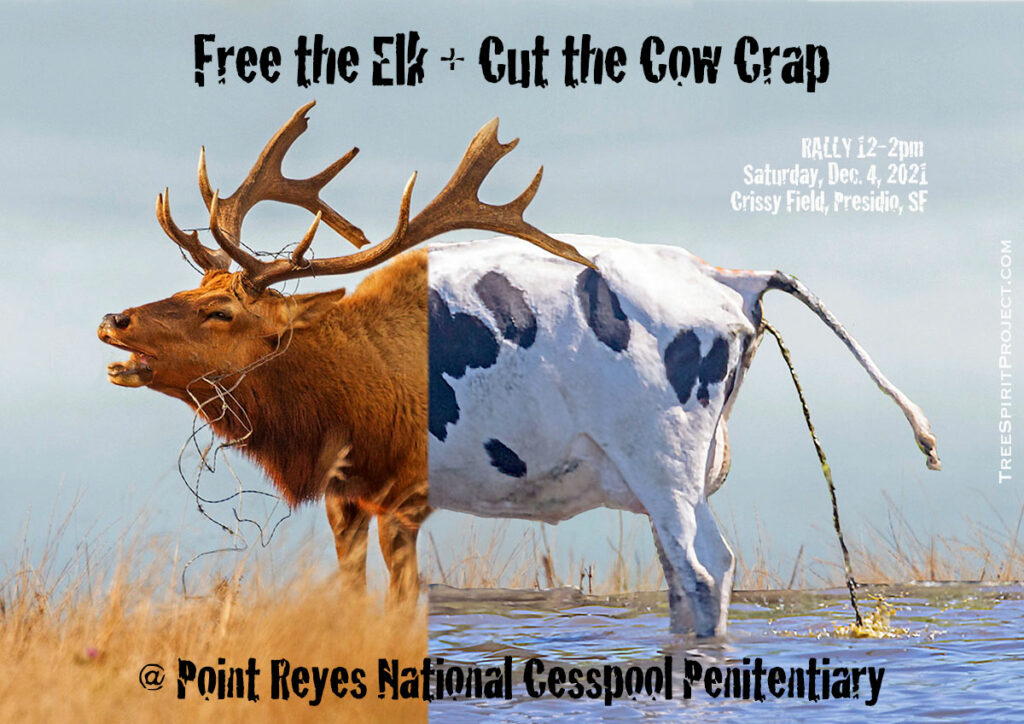RALLY-Free-the-Elk-Cut-the-Cow-Crap-Point-Reyes-Penitentiary-Cesspool-12.4.21-1200p.jpg
