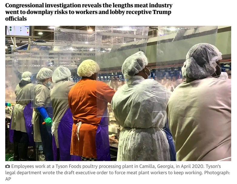 Guardian-Trump officials-and-meat-industry-blocked-life-saving-Covid-controls-investigation-finds-AP-photo.jpg
