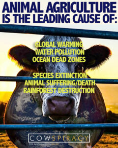 ANIMAL-agriculture-LEADING-CAUSE-OF-deforestation-rainforest-destruction-ocean-acidification-greenhouse-gases-global-warming-climate-change-crisis-heating-LIST-Cowpiracy-JG-v2.jpg