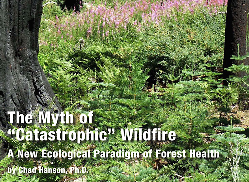 The-Myth-of-Catastrophic-Wildfire-A-New-Ecological-Paradigm-of-Forest-Health-by-Chad-Hanson-Ph.D.-cover.jpg