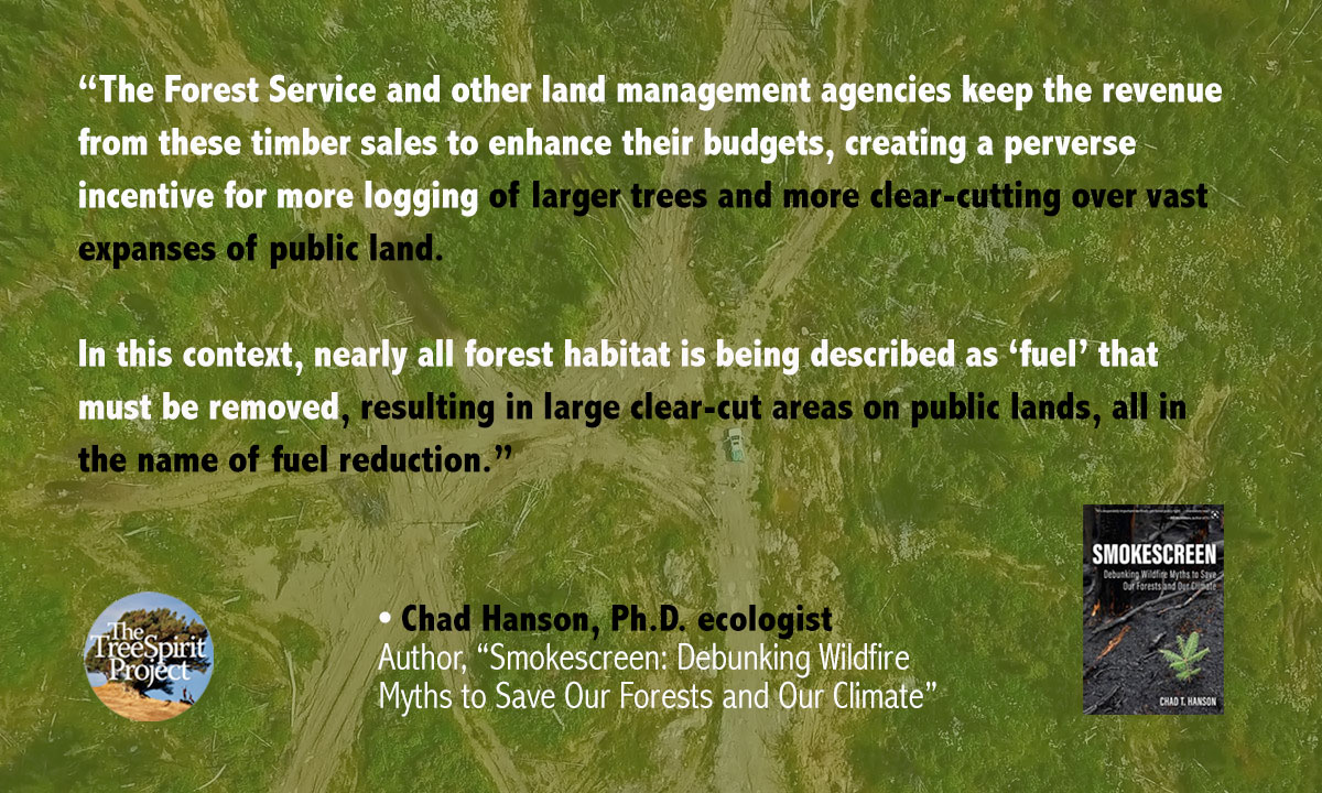clearcutting-U.S.-Forest-Service-financial-incentives-Chad-Hanson-book-SMOKESCREEN.jpg