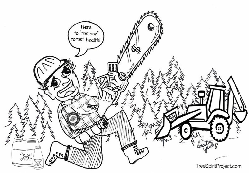 California-State-Parks-deforestation-project-forest-health-initiative-Tomales-Bay-State-Park-chainsaws-masticators-chippers-herbicides-poison.jpg