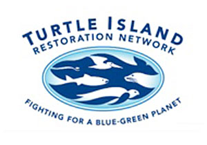 Turtle-Island-Restoration-Network-LOGO-Water-Quality-Study-Finds-Pollution-from-Cattle-Ranching-at-Point-Reyes-National-Seashore.jpg