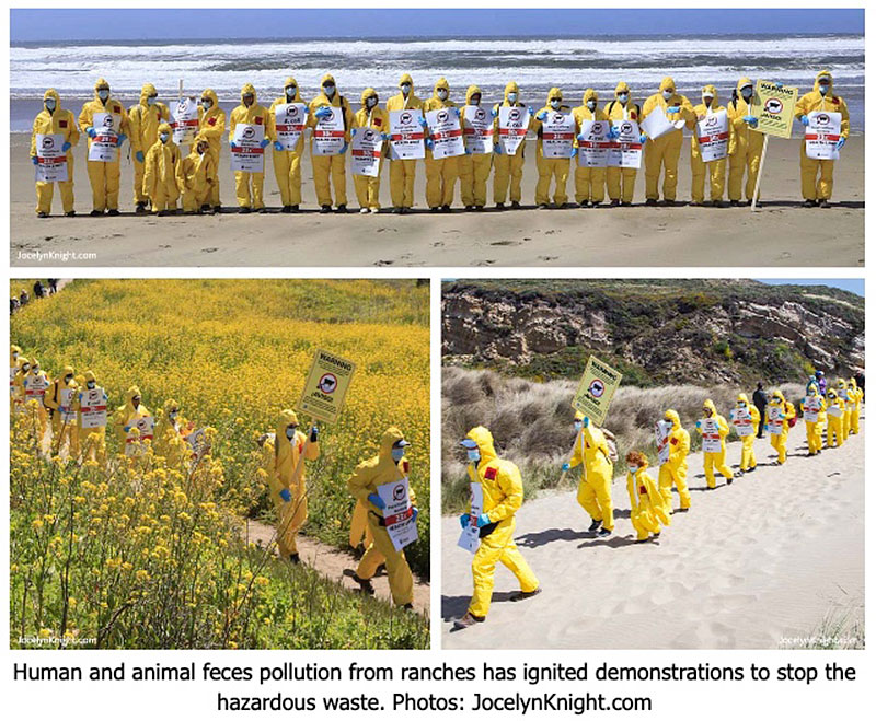 Hazardous-Waste-Walk-Point-Reyes-National-Seashore-cattle-ranch-dairy-water-pollution-fecal-bacteria-contaminatino-DEMONSTRATION-Kehoe-Beach-4.9.22-COMBO-3-pics-BY-Jocelyn-Knight-800p.jpg