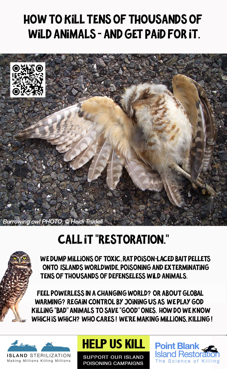 OWL-BURROWING-Kill-Thousands-of-Animals-Get-Paid-ISLAND-EXTERMINATIONS-Farallon-Islands-National-Marine-Sanctuary-restoration-conservation-1200p.jpg