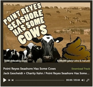 Point-Reyes-Seashore-Has-Some-Cows-COVER-ART-by-Jack-Gescheidt-and-Charity-Kahn-and-the-Jam-Band-Invisible-Bee-Point-Reyes-National-Seashore-Tule-elk-cows-cattle-issue-600p.jpg