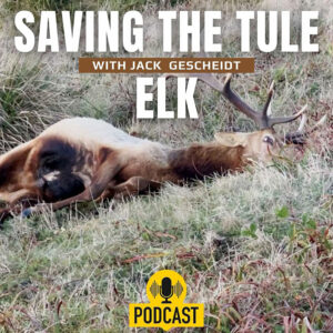 Saving-The-Tule-Elk-PODCAST-All-About-Animals-Podcast-Staci-Lee-Sherwood- w-Jack-Gescheidt-June-2023.jpg
