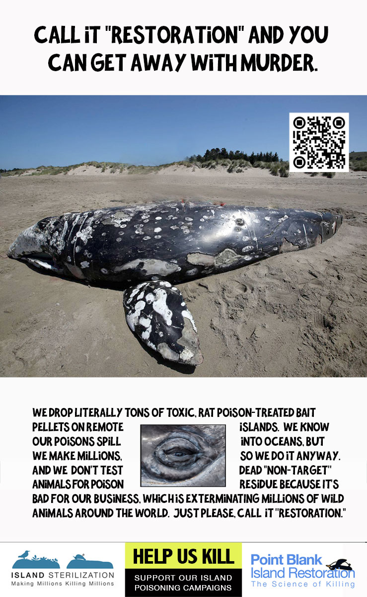 WHALE-GRAY-Call-It-Restoration-Get-Away-With-Murder-ISLAND-EXTERMINATIONS-Invasion-Biology-Invasive-species-exterminations-conservation-restoration-Brodifacoum-rat-poison-rodenticide-1200p.jpg