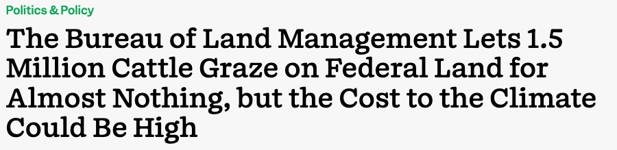 Bureau-of-Land-Management-Lets-1.5-Million-Cattle-Graze-on-Federal-Land-for-Almost-Nothing-but-Cost-to-Climate-High-Inside-Climate-News-by-Georgina-Gustin-July-25-2022-screensnap.jpg