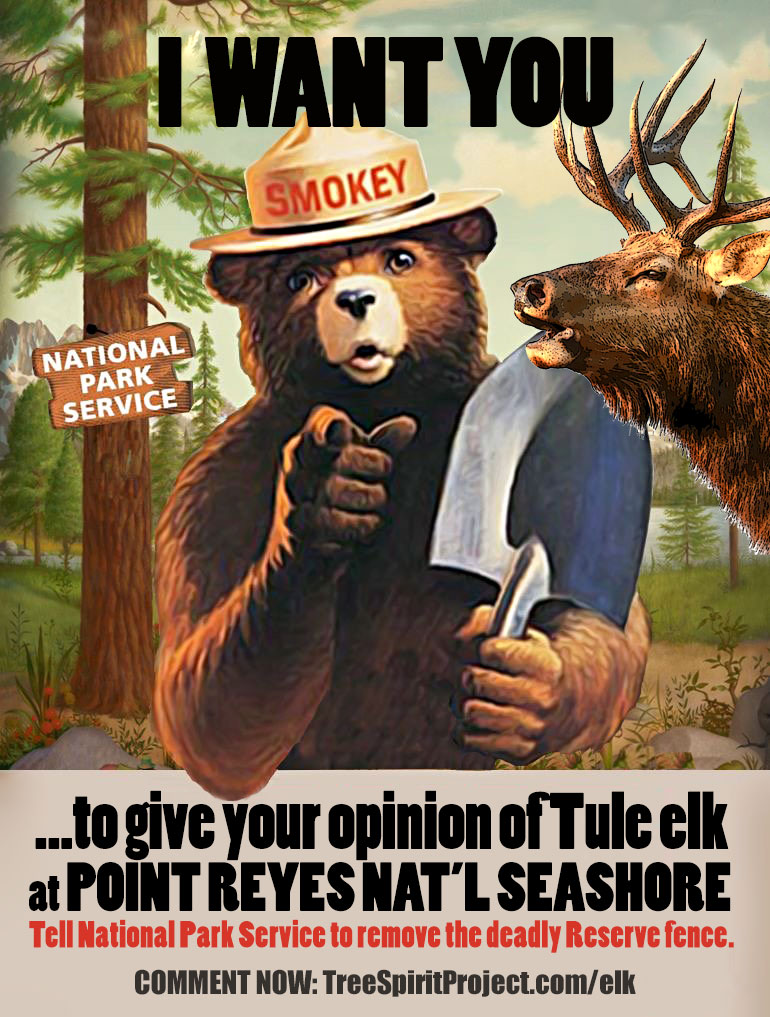 I-WANT-YOU-Smokey-the-Bear-National-Park-Service-poster-for-Tule-Elk-Point-Reyes-National-Seashore-Tule-Elk-Reserve-public-comment-period.jpg