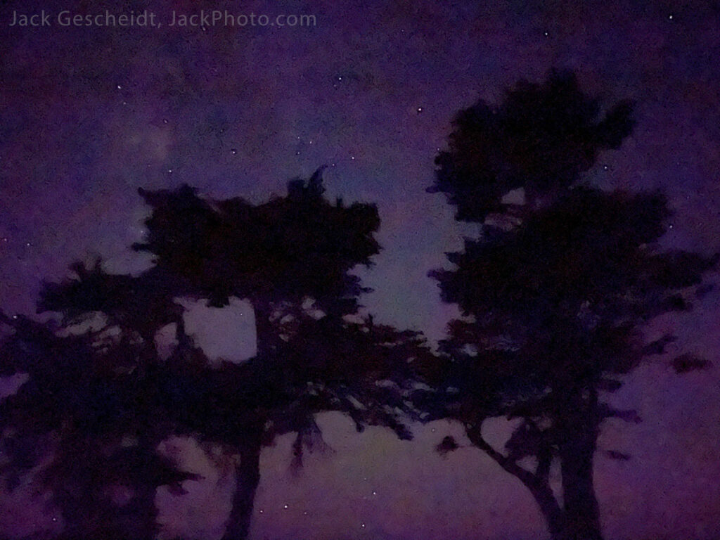 Monterey-Cypress-trees-night-Point-Reyes-National-Seashore-Tule-Elk-Reserve-Pierce-Point-Ranch-10.6.23-2127-JackPhoto.com.jpg