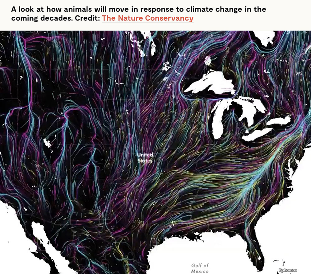 animal-migrations-Nature-Conservancy-graphic-Yale-360-article-Native-Species-or-Invasive-distinction-blurs-w-World-Warming-by-Sonia-Shah-1000pixel.jpg