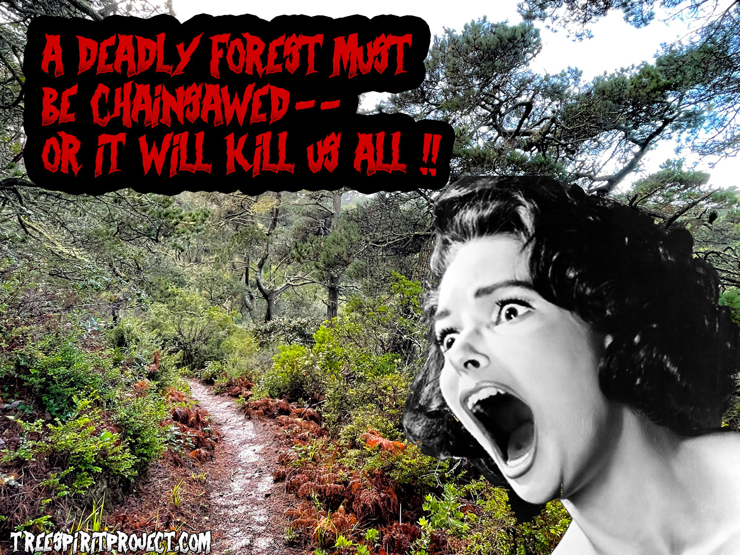 FEAR-of-FOREST-MUST-BE-CHAINSAWED-7691-v2.jpg