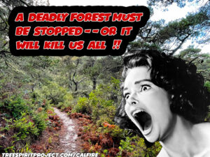 FEAR-of-FOREST-Tomales-Bay-State-Park-deforestation-forest-health-logging-project-MUST-BE-STOPPED-v3-1500p.jpg