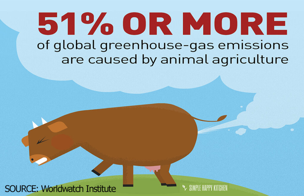 animal-ag-51%-GHGs-farting-illustration-graphic-w-SOURCE-Worldwatch-Institute.jpg