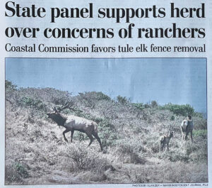 Marin-IJ-California-Coastal-Commission-Tule-Elk-Reserve-fence-Tomales-Point-Reyes-National-Park-removal-approved-9.22.24-5224-CROP-to-HEADLINE.jpg