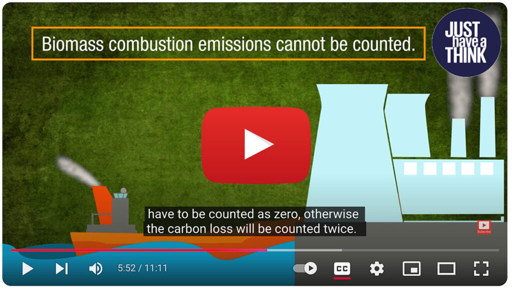 Biomass-biofuels-deforestation-emissions-not-counted-other-country-burned-Global-Biomass-Scam-by-Just-Have-A-Think-TreeSpirit.jpg