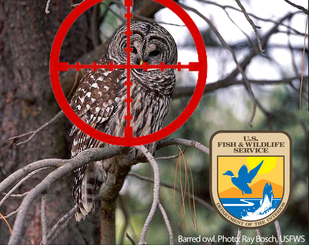 barred-owl-Invasion-Biology-Norther--Spotted-Owl-Maheur-Natl-Wildlife-Refuge-OR-Ray-Bosch-USFWS-crosshair-USFWS-LOGO-1200p