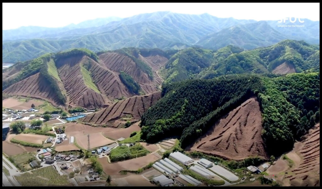 forested-hillsides-stripped-bare-wood-pellet-biofuel-industry-screensnap-Solution-for-Our-Climate-screensnap-BLACK-BORDER-1200p-WEB