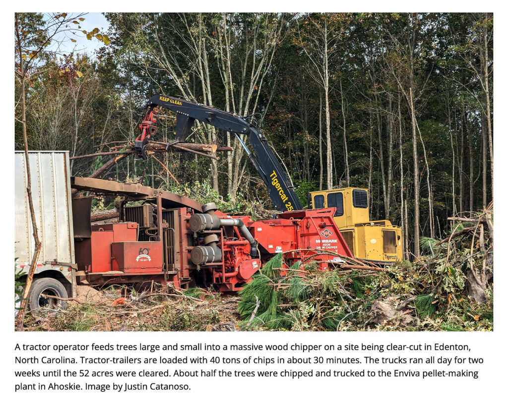 loader-tractor-chipper-deforestation-Edenton-North-Carolina-photo-by-Justin-Catanoso-Mongabay-w-caption.jpg