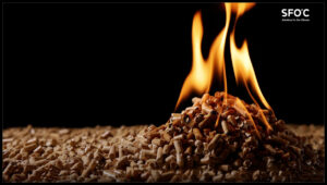 wood-pellets-w-flame-biomass-biofuel-deforestation-industry-screensnap-Solutions-for-Our-Climate.jpg